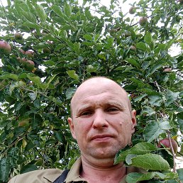 , 39, 