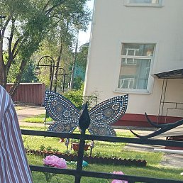 , , 71 