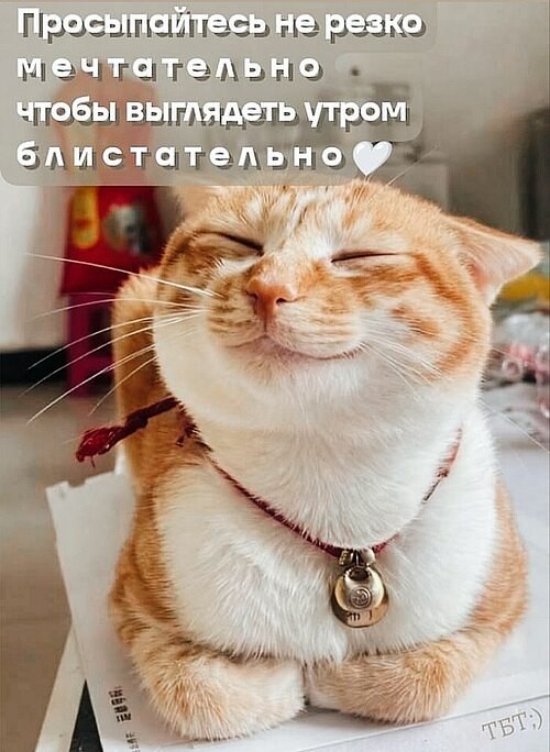 �� ����� ������! - 6 ���� 2026 � 18:10