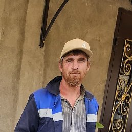 �������, ���������, 43 ����