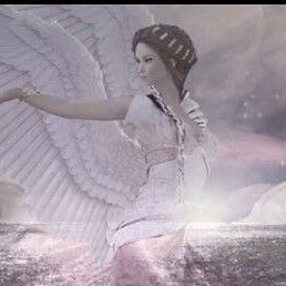 �����, ��������, 66 ���