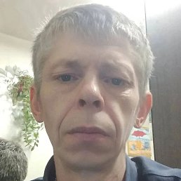 ���������, �������, 44 ����