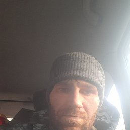 ���� �����, ����������, 33 ���� - ��������� 28 ������� 2026