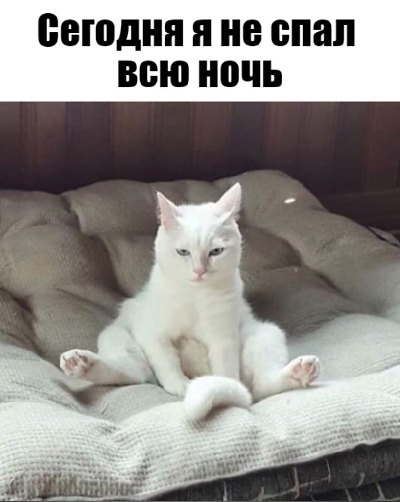       - 28  2025  12:32 - 2