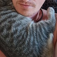 �������, 43 ����, ��������