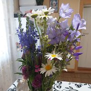 ������, 38 ���, ������