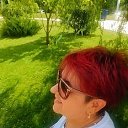 ���� �������, ���������, 66 ��� - ��������� 15 ���� 2026 � ������ ���� ����������