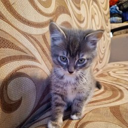 �������, �����������, 30 ���