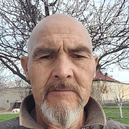 �������, ������, 65 ���