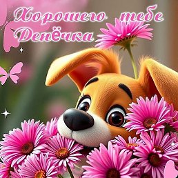 �������, ����, 70 ���