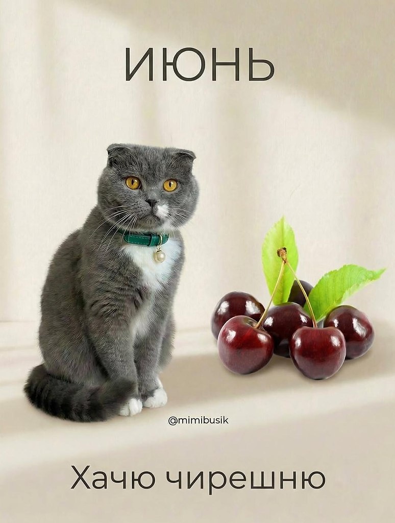 �����������������y�� - 4