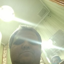 �����, 43 ����, ���������