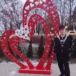 ������, �������, 37 ���