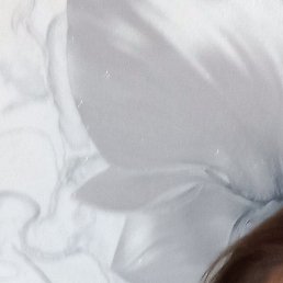 �����, ������, 58 ���