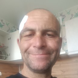 ������, ���������, 43 ����