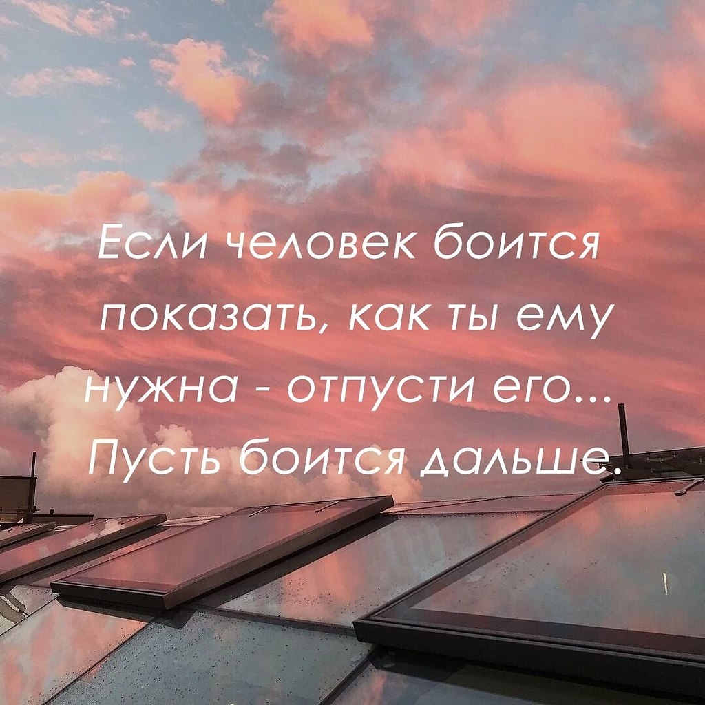 Красиво сказано - 21 июня 2025 в 15:40