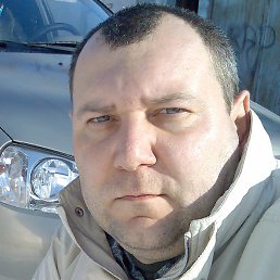 �����, �������, 41 ���