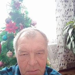 ��������, �����, 65 ���