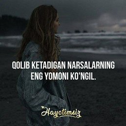 ���� �������, �����, 37 ��� - ��������� 27 ����� 2026