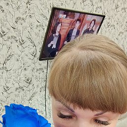 , 42, 