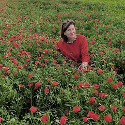 �������, ���������, 55 ���