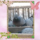 ���� ������, ����-��� - ��������� 9 ���� 2025 � ������ ���� �� ���� � ������� ������� � �������. ����� 4�