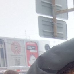 �������, ���������, 47 ���