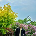 ���� �������, �����������, 49 ��� - ��������� 6 ���� 2025 � ������ ���� ����������