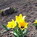 17.04.26� � �� ������� ���� ����������