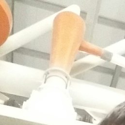 �������, ������-��������, 35 ���