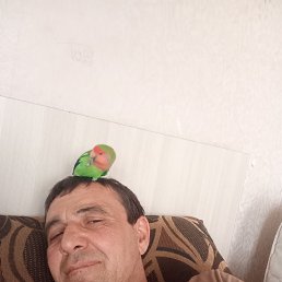 ���� ������, ���������, 47 ��� - ��������� 7 ��� 2026