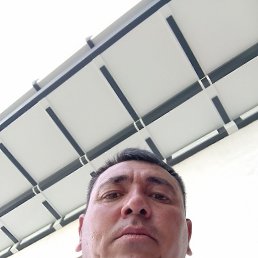 ���� ���������� ����������, ������, 44 ���� - ��������� 1 ������ 2026