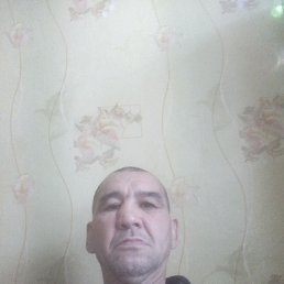 ������, 51 ���, ���������