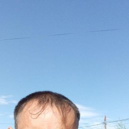 , 37, 