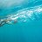 ���� ���, �����������, 47 ��� - ��������� 18 ������� 2026