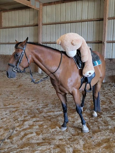  ,   ,      .  ... - 2