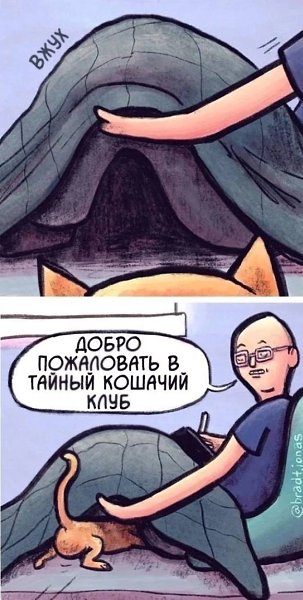  Just Business - 13  2025  17:57 - 3