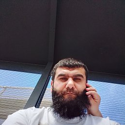 , 41, 