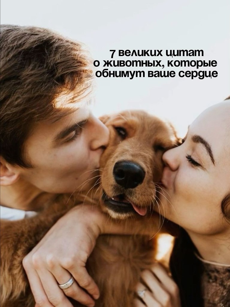 Делитесь с теми, кому хотите подарить тепло и дополняйте, если у вас есть свои любимые