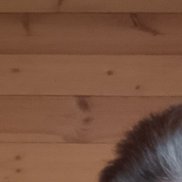 ������, 48 ���, ����