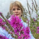 ���� �����, ������ �����, 53 ���� - ��������� 21 ������� 2025 � ������ ���� ����������