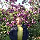 ���� �������, ������, 62 ���� - ��������� 1 ������ 2024