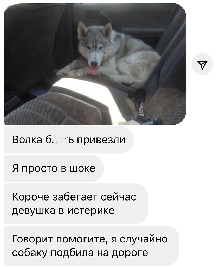 �������. - 24 ������ 2026 � 15:04