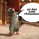 ���� Bek, �����, 38 ��� - ��������� 1 ������ 2024 � ������ ���� ����������