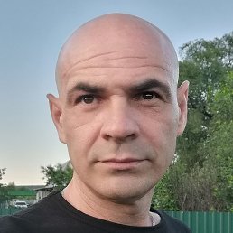 ������, �����, 49 ���