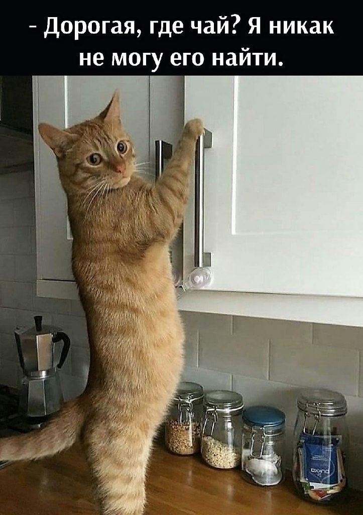       - 19  2025  21:56