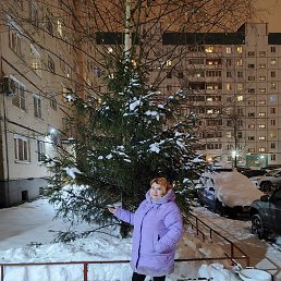 ���� ��������, �����-���������, 49 ��� - ��������� 17 ������� 2023