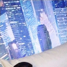 , 33, 