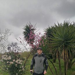 �������, 38 ���, ������