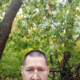 , 51, 